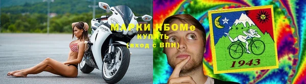 твердый Аркадак
