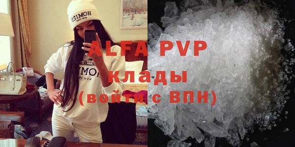 сатива Баксан