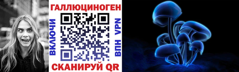 Купить  Чайковский  Псилоцибиновые грибы Magic Shrooms 
